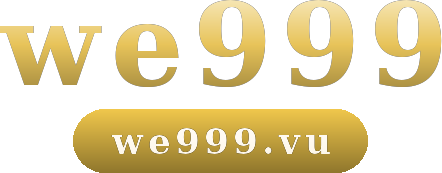 we999 logo